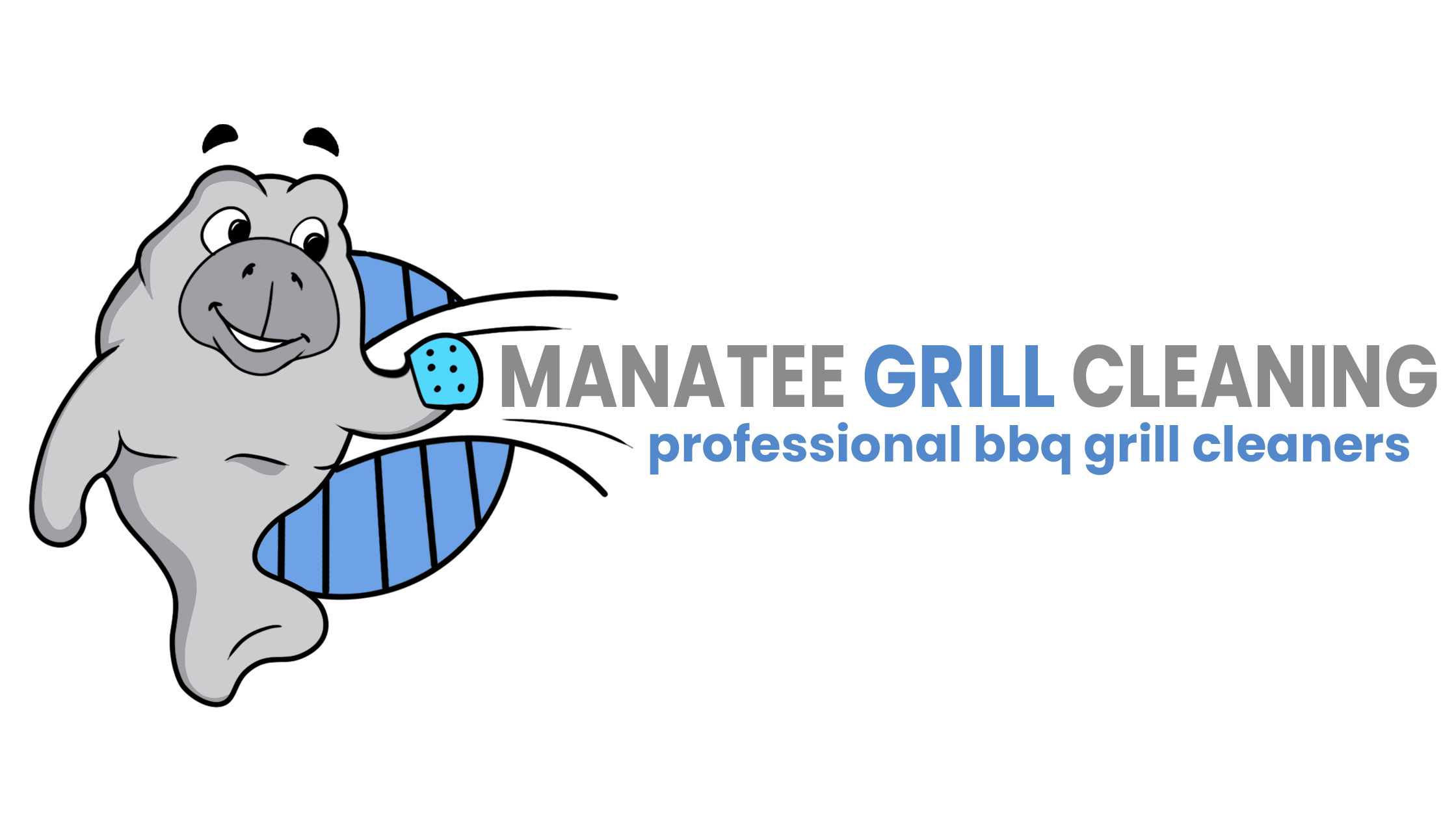 Manatee Grill Cleaning